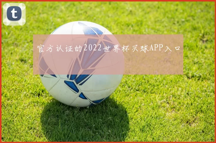 官方认证的2022世界杯买球APP入口
