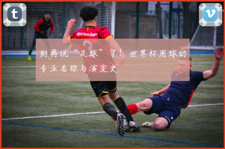 别再说“足球”了!世界杯用球的专业名称与演变史