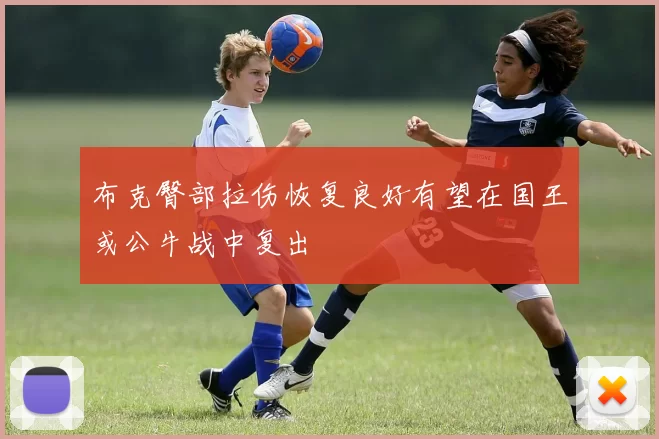 布克臀部拉伤恢复良好有望在国王或公牛战中复出