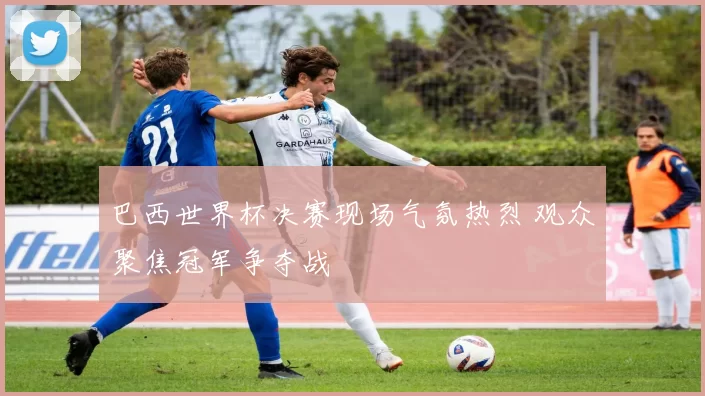 巴西世界杯决赛现场气氛热烈 观众聚焦冠军争夺战