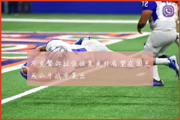 布克臀部拉伤恢复良好有望在国王或公牛战中复出