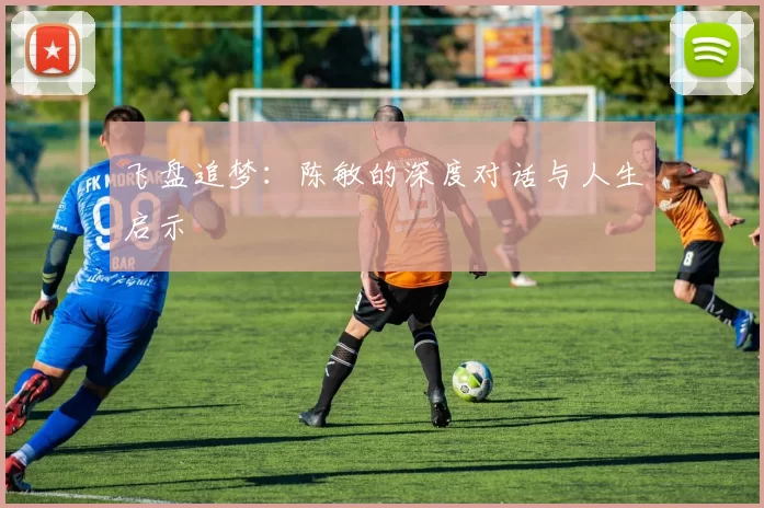 飞盘追梦：陈敏的深度对话与人生启示