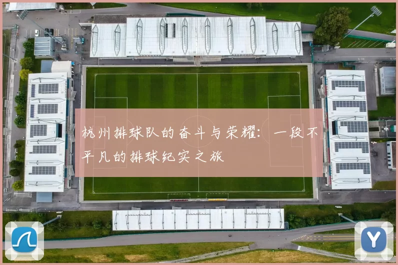 杭州排球队的奋斗与荣耀:一段不平凡的排球纪实之旅
