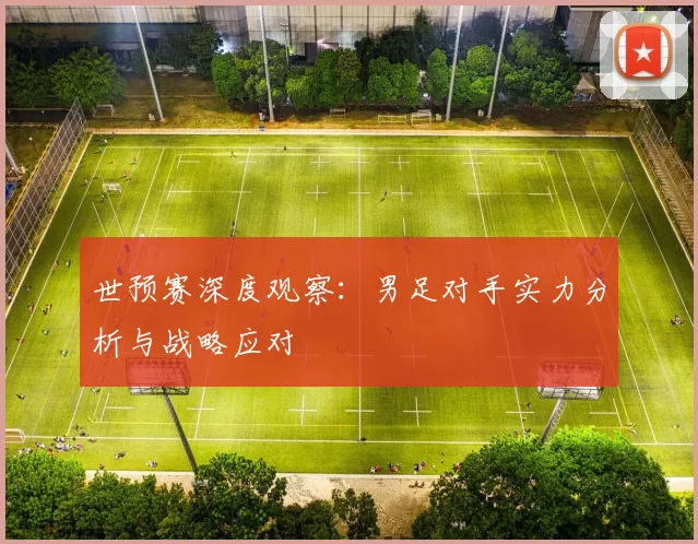 世预赛深度观察：男足对手实力分析与战略应对