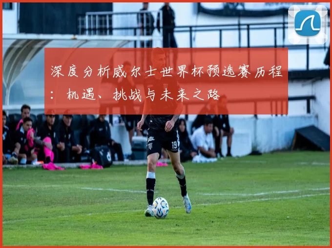深度分析威尔士世界杯预选赛历程：机遇、挑战与未来之路