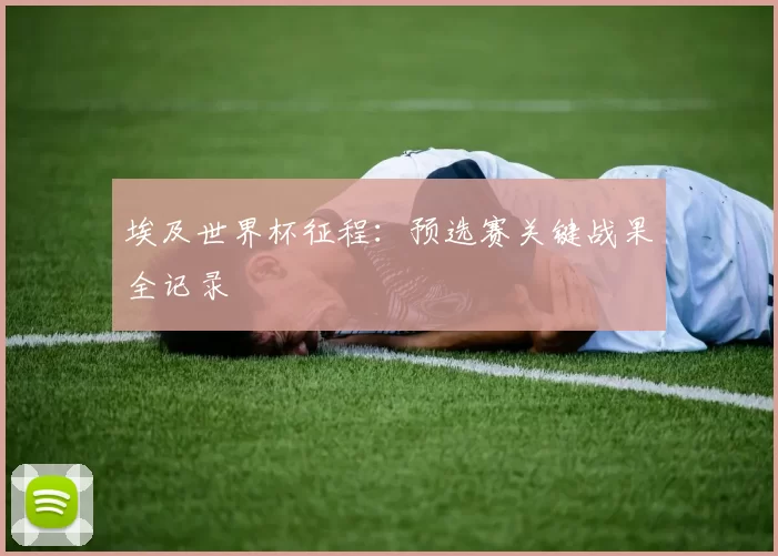 埃及世界杯征程:预选赛关键战果全记录